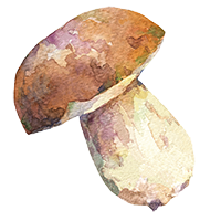 dessaint traiteur champignon